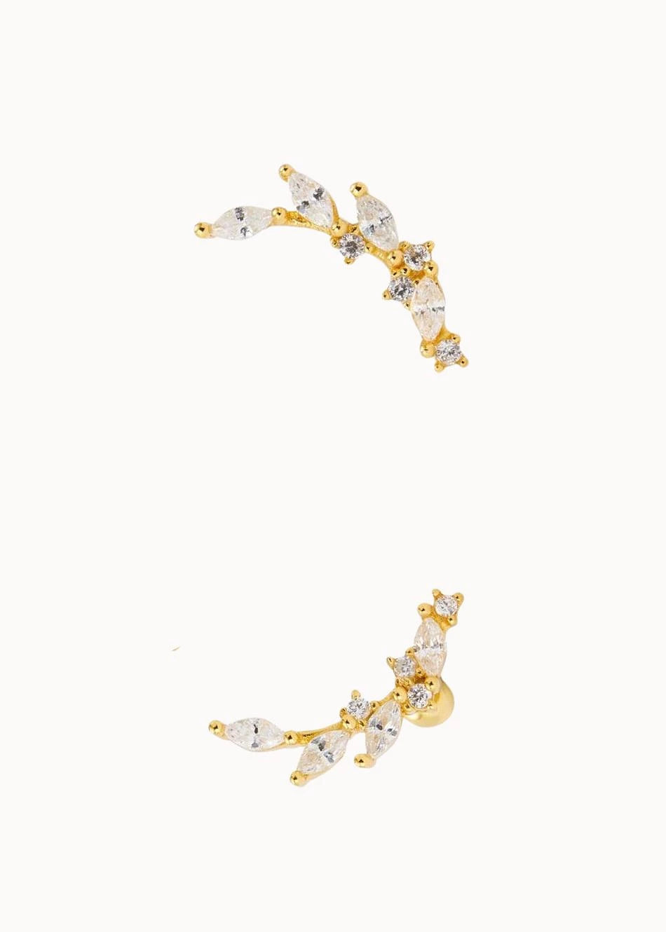 Piercing Laurel - Imagen 3